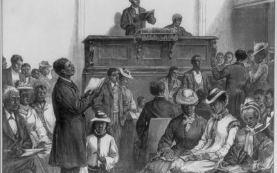 Voice in the Wilderness